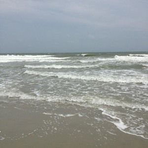 Meet your Posher, Annette